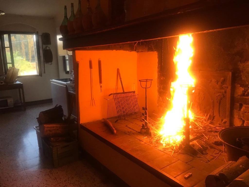 Casa Vacanze Podere Marilla Peccioli Zewnętrze zdjęcie