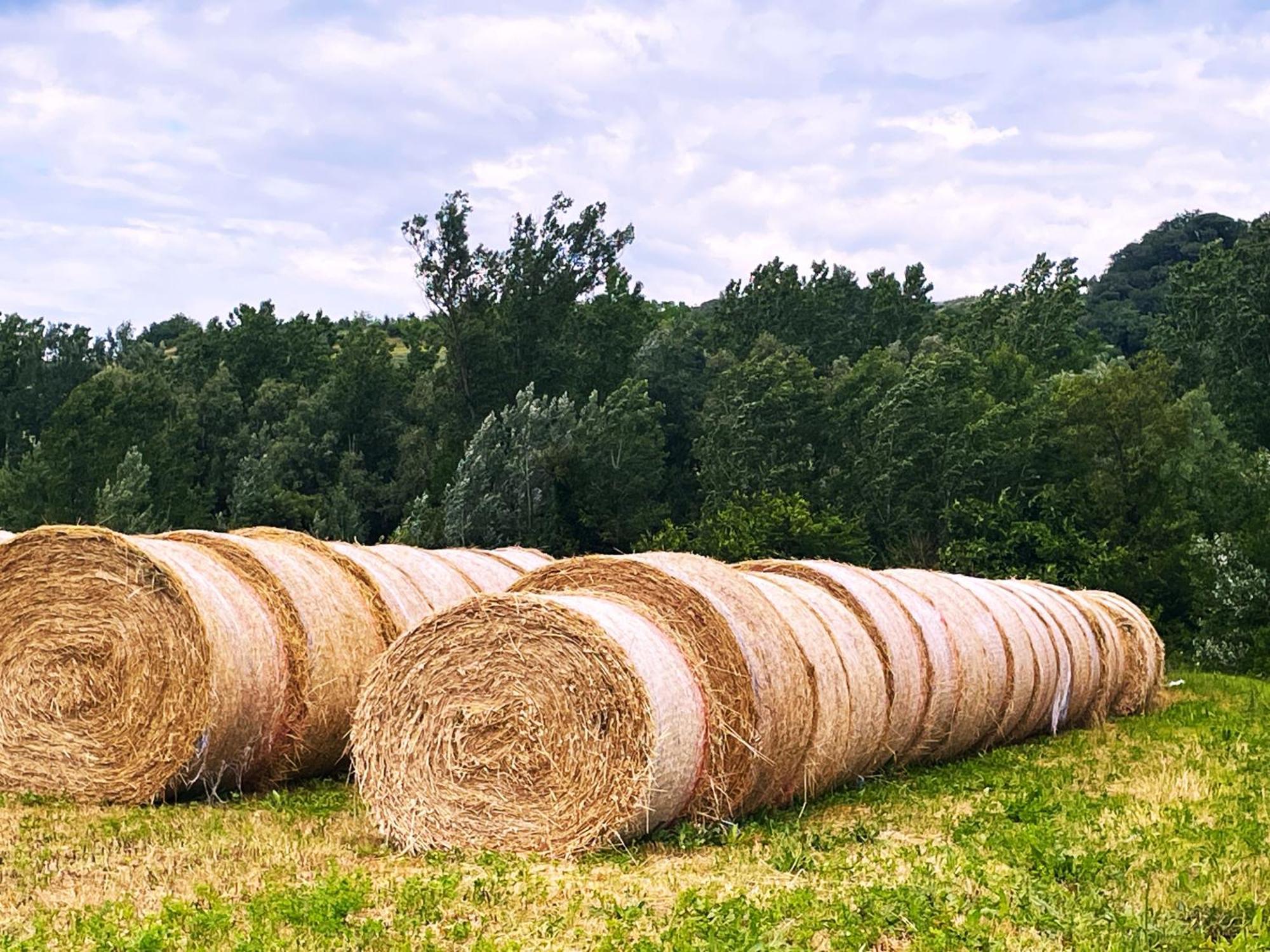 Casa Vacanze Podere Marilla Peccioli Zewnętrze zdjęcie